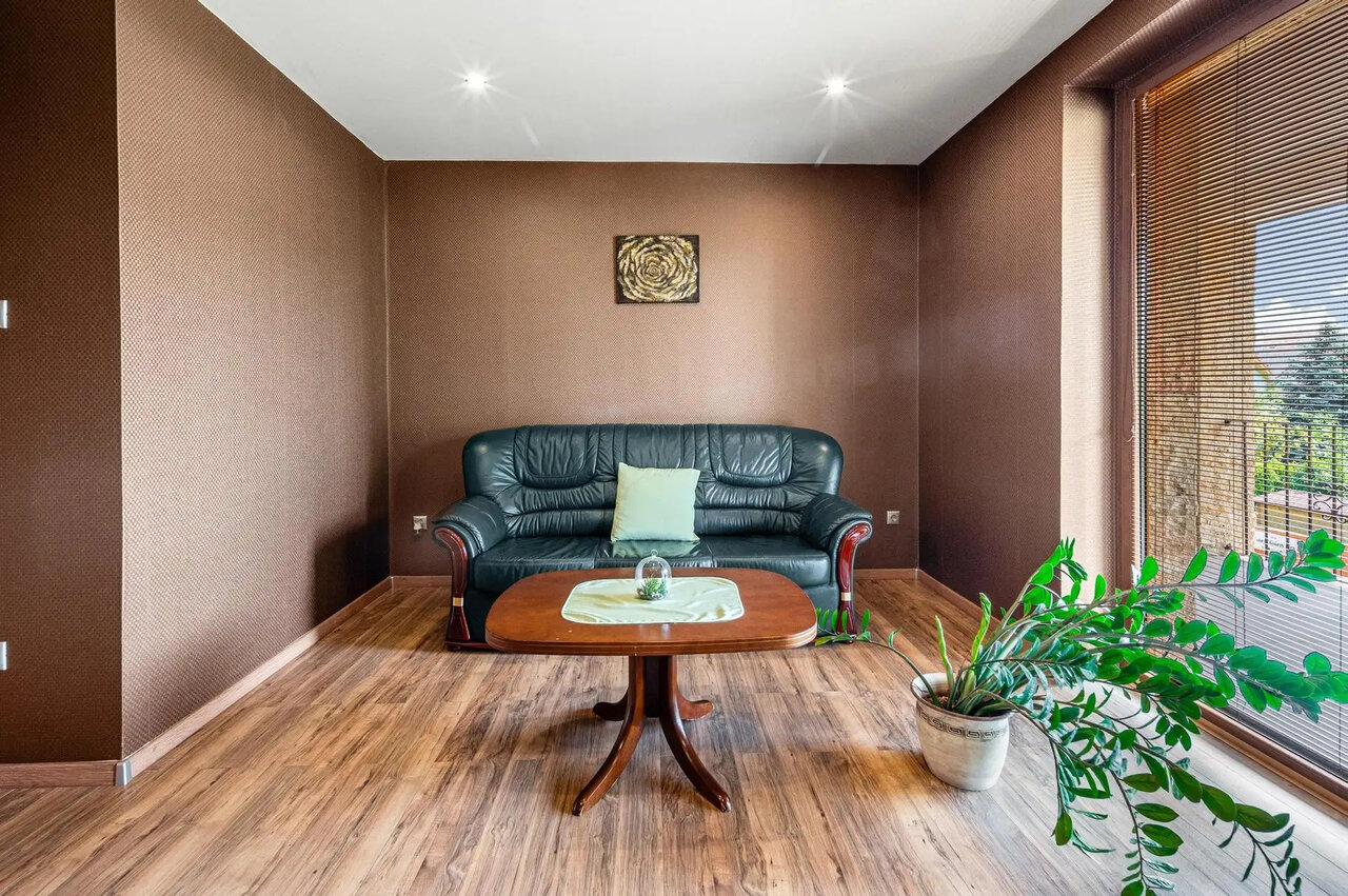 Modern living room with leather suite