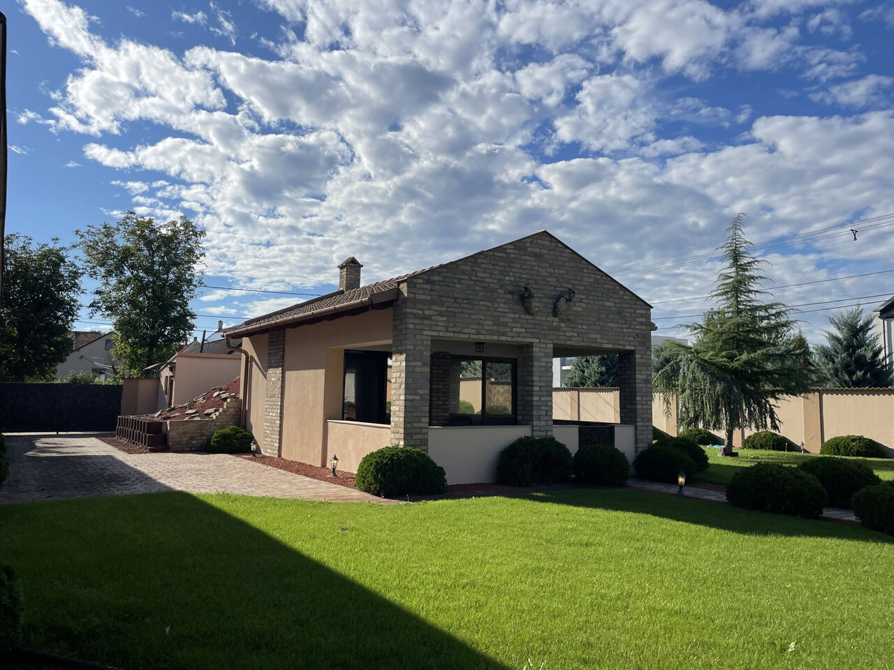 House garden with ornamental plants and paving stones