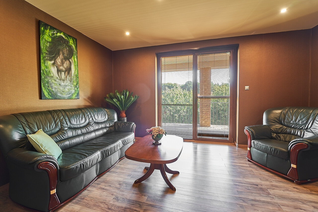 Modern living room with leather suite and balcony door